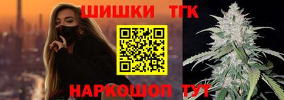 стаф Камышлов