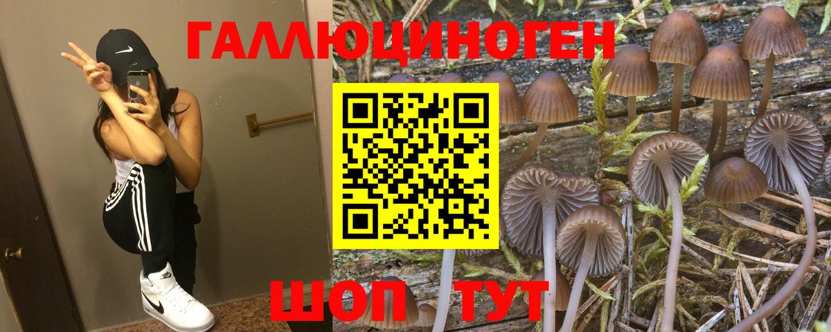 Галлюциногенные грибы прущие грибы  Галлюциногенные грибы прущие грибы  Вход с VPN  Георгиевск 