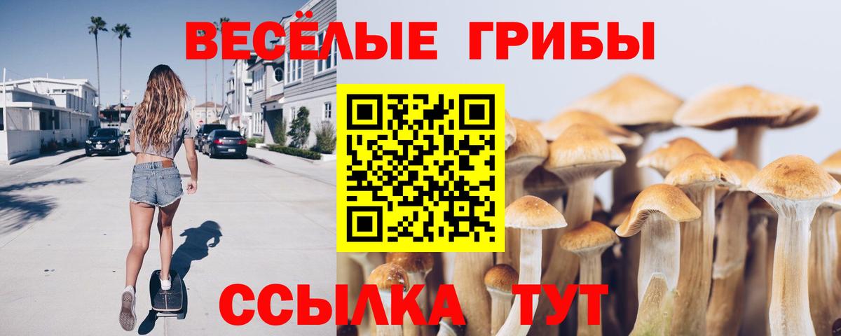 Галлюциногенные грибы Cubensis Георгиевск